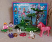 Playmobil Fantasie Set Niedersachsen - Uetze Vorschau