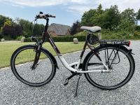 Fahrrad Damen Kreidler 26 Zoll Schleswig-Holstein - Kletkamp Vorschau