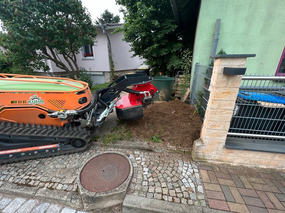 Stubbenfräsen Wurzeln fräsen Austriebe Bäume roden entsorgen in Am Ettersberg