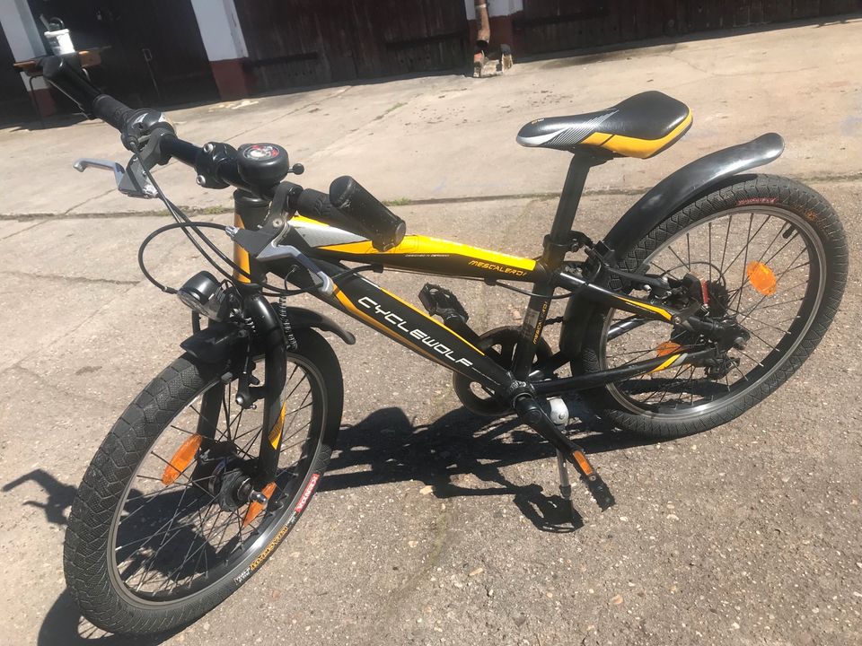 Fahrrad Kinderfahrrad 20“ top Zustand in Friesack