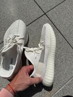 Yeezy Yeezys Bone 44 wie neu 350 V2 Essen - Essen-Werden Vorschau
