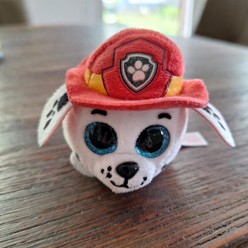 Glubschis von Ty Paw Patrol in Herne