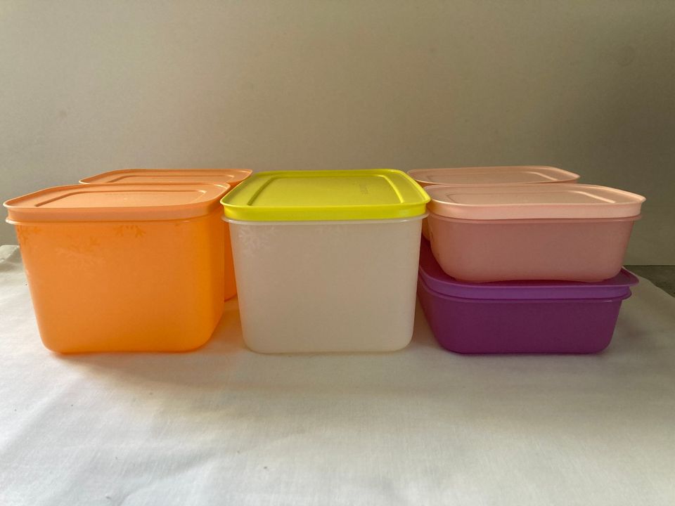 Tupperware Eiskristall/Gefrierbehälter Set (6) o. (4) o. (2) *NEU in Aichelberg