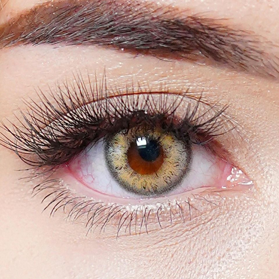 Kontaktlinsen hellbraun farbig hazel Jahreslinsen Beauty + Box in Bayern -  Mindelheim | eBay Kleinanzeigen ist jetzt Kleinanzeigen