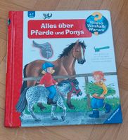 Buch Wieso Weshalb Warum Alles über Pferde und Ponys 4-7 Jahre Baden-Württemberg - Aulendorf Vorschau