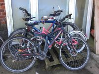 Fahrrad Fahrräder Kinderfahrrad Damenfahrrad Herrenfahrrad Rad Bad Doberan - Landkreis - Neubukow Vorschau