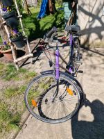 Fahrrad 28 Zoll Mecklenburg-Vorpommern - Pasewalk Vorschau