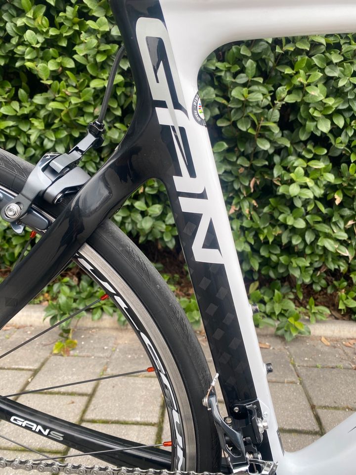 VIP PINARELLO GAN S Onda Carbon Rennrad in Nürnberg (Mittelfr)