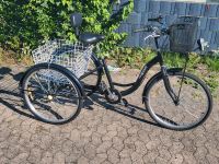 Drerädriges Fahrrad Nordrhein-Westfalen - Löhne Vorschau