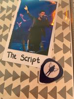 Gespieltes Plektrum von der Band „The Script“ für Sammler Niedersachsen - Osnabrück Vorschau