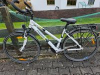 Fahrrad Damen Pegasus Bayern - Dietmannsried Vorschau