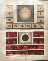 Vintage Print Druck Sonne Astronomie Astrologie Berlin - Charlottenburg Vorschau