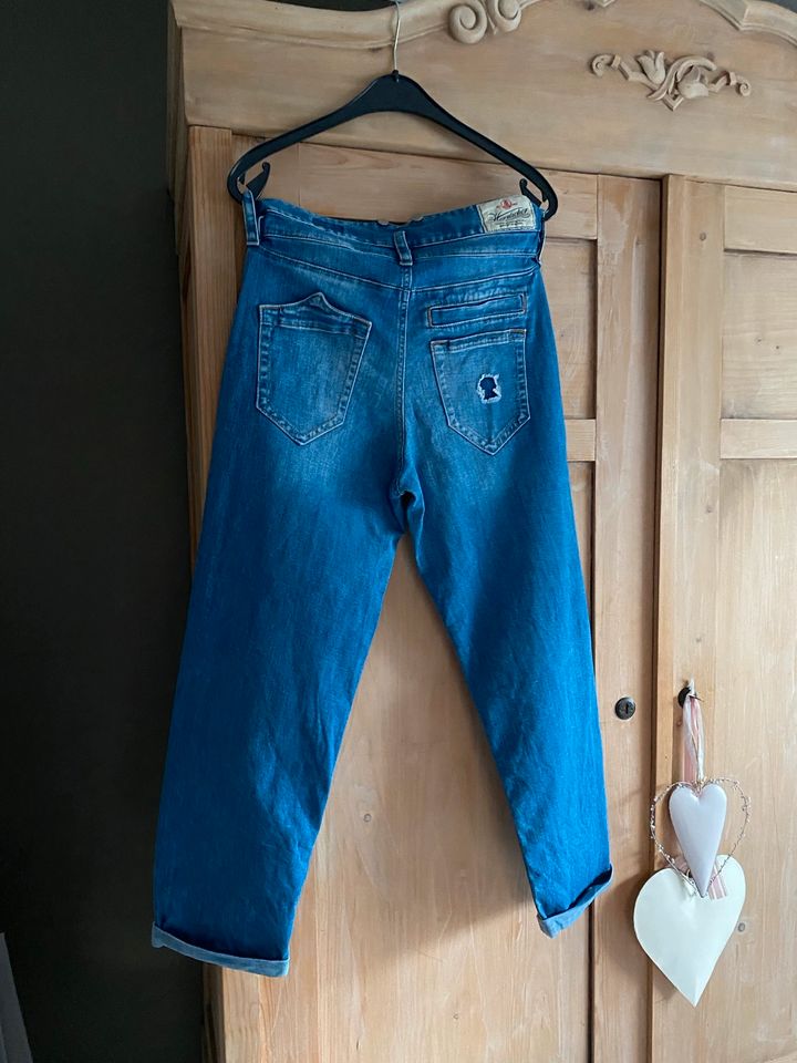 Jeans Herrlicher in Nottuln