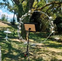 Traubögen Fotohintergrund Hochzeit Geburtstag Taufe Deko Verleih Baden-Württemberg - Keltern Vorschau