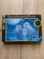 Leucht Puzzle 500Teile Ravensburger Neu Dresden - Schönfeld-Weißig Vorschau