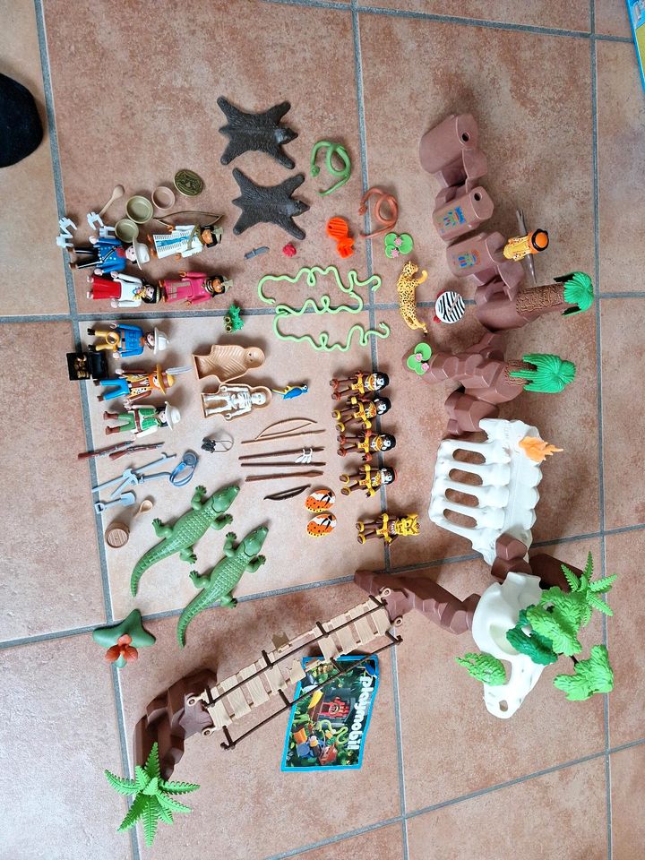 Playmobil Dschungel 3040 erweitert in Nörtershausen