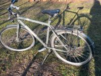 Fahrrad Diamant Elan City 500 Mecklenburg-Vorpommern - Woggersin Vorschau