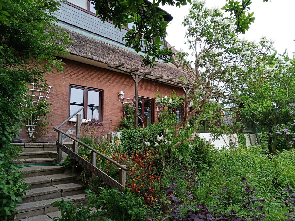 Reetdachhaus mit Blick auf die Elbe und Deichzugang in Glückstadt