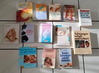 13 Bücher Schwangerschaft Geburt Stillzeit Baby Massage Impfen Niedersachsen - Bremervörde Vorschau