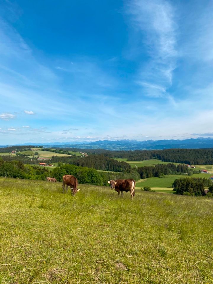 Ferienwohnung im Allgäu zwischen Berge und Bodensee in Leutkirch im Allgäu