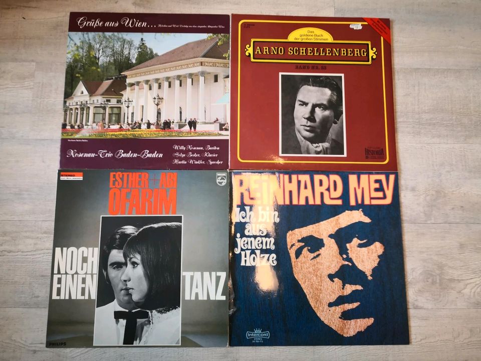 Schallplatten LP LPs Vinyl in Garbsen