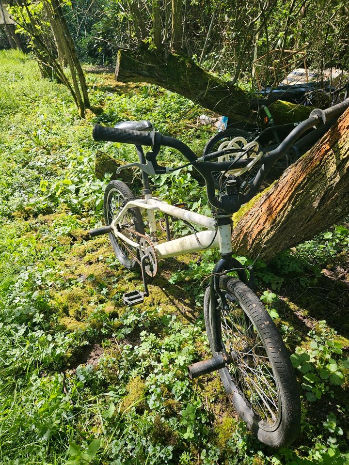 Bmx Fahrrad in Maintal