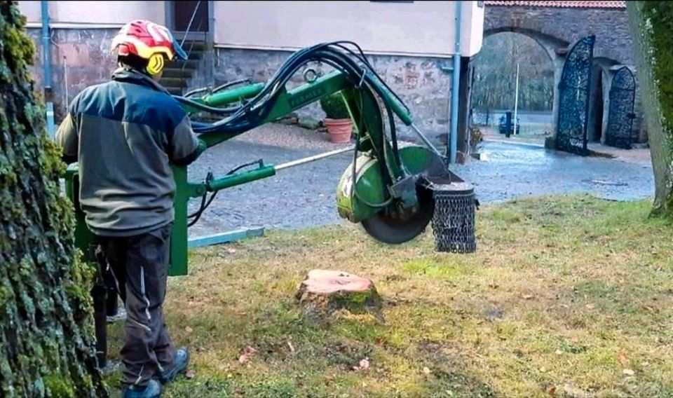 Wurzelfräsen, Wurzelstöcke, Baumstumpf entfernen in Oberleichtersbach