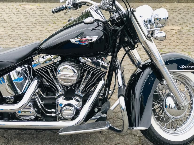 Harley Davidson Softail Deluxe in Dormagen