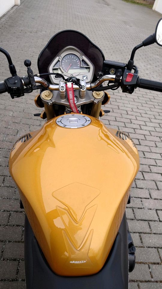 Honda CB600 FA (PC 41) Hornet ABS Gold Edition in Berlin