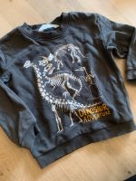 Pullover h&m Dino 92 Nordrhein-Westfalen - Ladbergen Vorschau