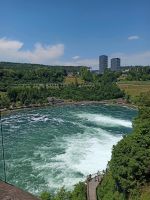 Wir schneiden ihre Hecken, Bäume, Sträucher, uvm Baden-Württemberg - Friedrichshafen Vorschau