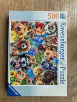 Puzzle 500 Teile, Hunde-Rasselbande Feldmoching-Hasenbergl - Feldmoching Vorschau