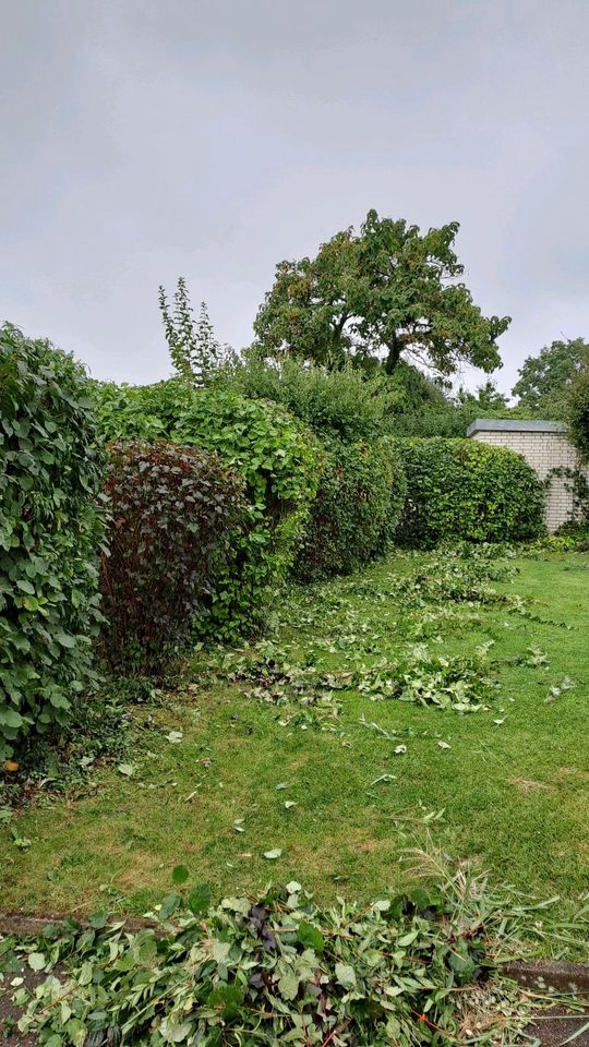 Gartenarbeiten Gartenpflege in Ingolstadt