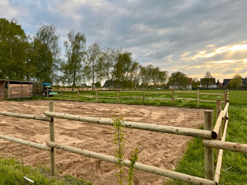 Reitplatz Reitplatzumrandung Reitplatzeinzäunung Zaun - 20 x 40 in Olsberg