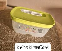 Mini KlimaOase von Tupperware Bayern - Stammbach Vorschau