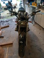 Motorrad Kawasaki Zephyr 550 Dithmarschen - Brunsbuettel Vorschau