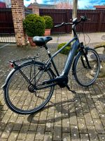 Pedelec E-Bike Kalkhoff Agattu Rücktritt 500 Wh Nordrhein-Westfalen - Beckum Vorschau