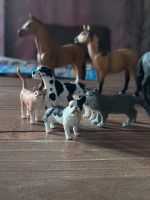 Schleich Pferde, Tiere Niedersachsen - Uelzen Vorschau