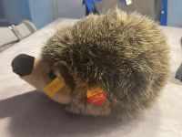 Steiff Joggi Igel 25 070570 Nordrhein-Westfalen - Marl Vorschau