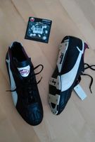 Stollen Fusballschuhe von Puma (NEU) München - Hadern Vorschau