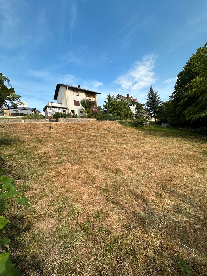 Baugrundstück Bauplatz in Weisenbach Einfamilienhaus in Weisenbach