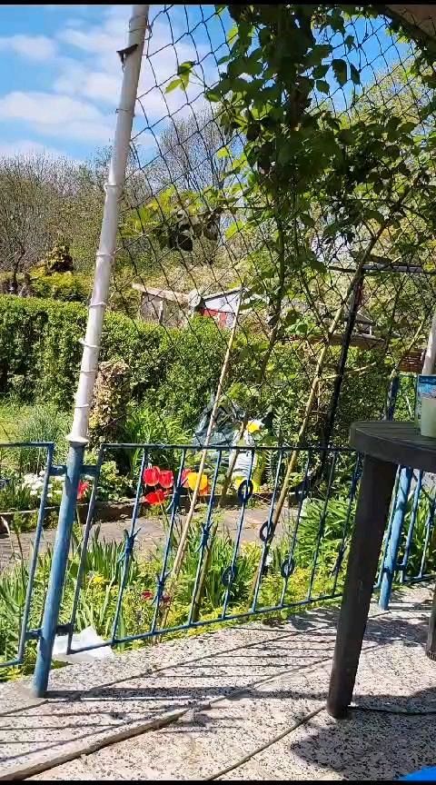 Garten mit Laube zur Pacht abzugeben in Altenburg