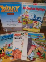 Asterix und obelix comic Bayern - Großeibstadt Vorschau