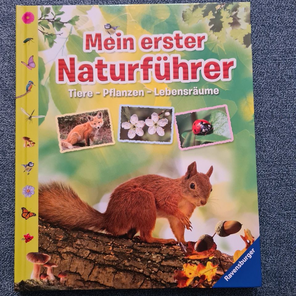 Buch Mein erster Naturführer. Tiere - Pflanzen - Lebensräume in Hannover