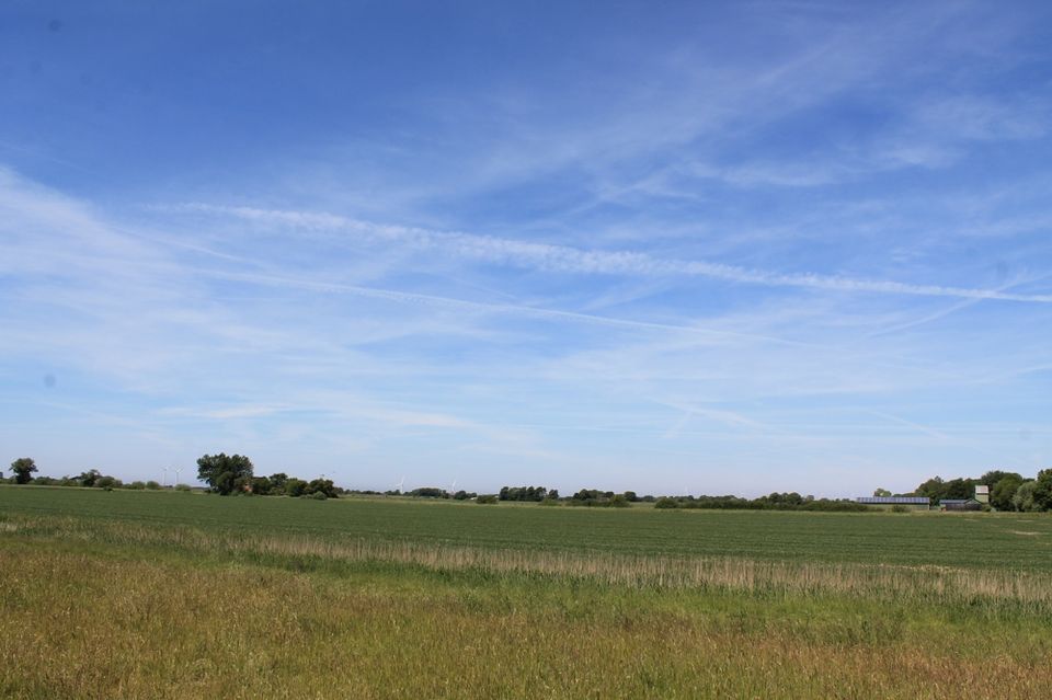 Reetgedeckter Haubarg in Alleinlage auf einem großzügigen Grundstück in 25899 Galmsbüll in Galmsbüll