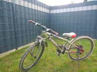 Cube Mountainbike 24“ Fahrrad Hessen - Mücke Vorschau