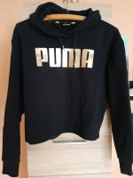 Damen/Mädchen Hoodie Puma gr XS Niedersachsen - Südergellersen Vorschau