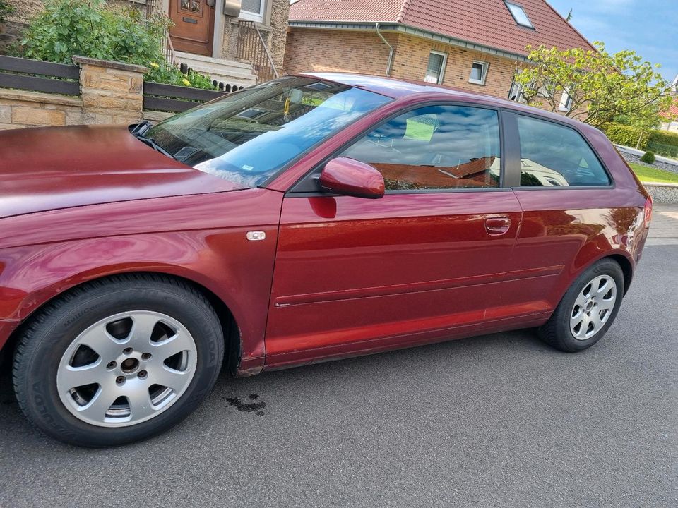 Audi a 3 2.0 tdi in Preußisch Oldendorf