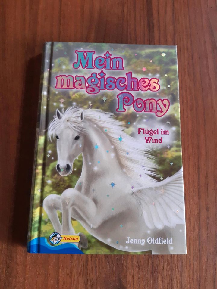 Mein magisches Pony Flügel im Wind Buch Kinder Mädchen günstig in Erligheim