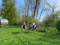 Kinderreitstunden von 8-12 Jahren Bayern - Pocking Vorschau